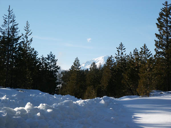PICT0166