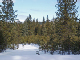 PICT0108_edited-1